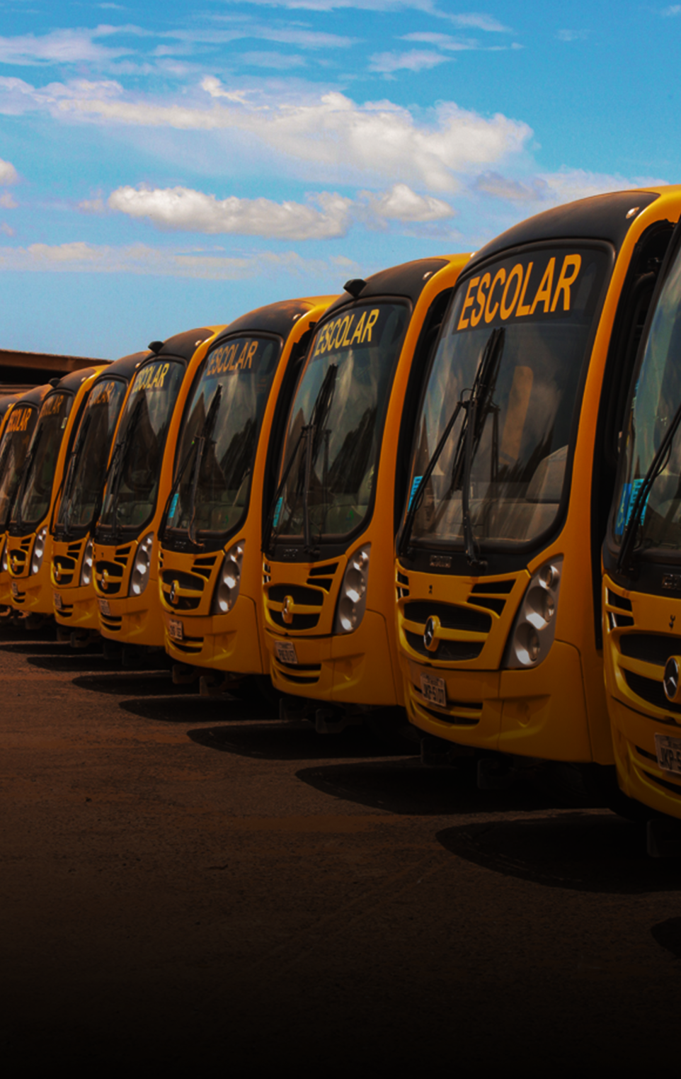 Curso para Monitor de Transporte Escolar